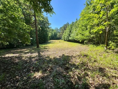 *Secluseval Plantation* a 4,000+/- sq. ft. antebellum home built - photo 5