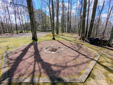 Butternut Lake Lodge - Successful Resort Property in Price County - photo 14