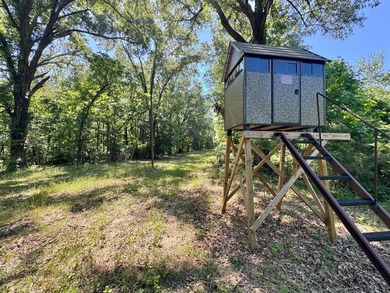 *Secluseval Plantation* a 4,000+/- sq. ft. antebellum home built - photo 8