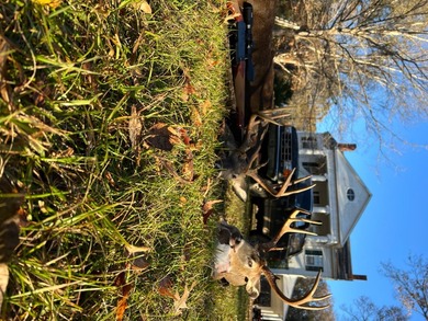 *Secluseval Plantation* a 4,000+/- sq. ft. antebellum home built - photo 10