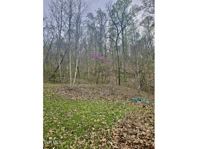 Holston River - Hawkins County Acreage For Sale in Church Hill Tennessee