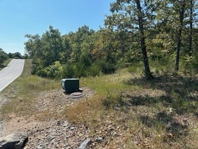 Great Lot to Build On OR just buy to have access the LedgeStone