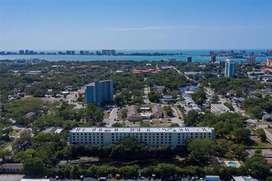 (private lake, pond, coastal) Condo For Sale in Clearwater Florida