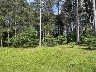 Wisconsin River - Juneau County Lot For Sale in New Lisbon Wisconsin