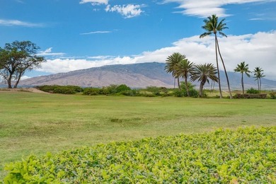 Luana Kai B301 presents a rare opportunity to own one of the - photo 44
