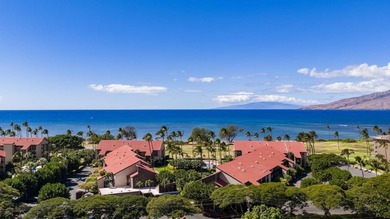 Luana Kai B301 presents a rare opportunity to own one of the - photo 47