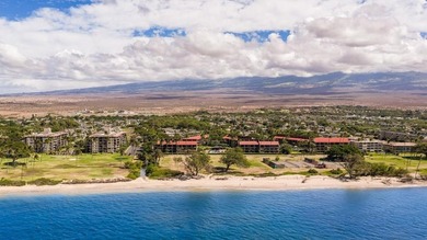 Luana Kai B301 presents a rare opportunity to own one of the - photo 48