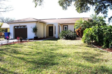 Lake Home For Sale in Palm Harbor, Florida