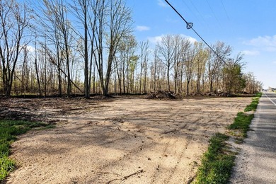 Don't miss this rare opportunity to create your dream home on a - photo 12