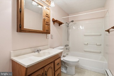 This property has the feel buyers are hoping to find when they - photo 13