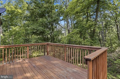 This property has the feel buyers are hoping to find when they - photo 32