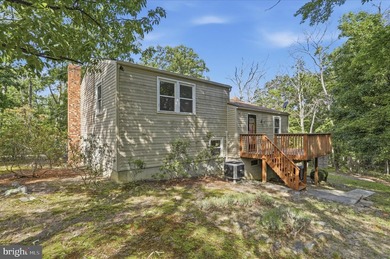 This property has the feel buyers are hoping to find when they - photo 36