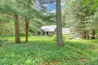 Welcome to 16 Maplewood Drive, Northport - privately set on a - photo 38