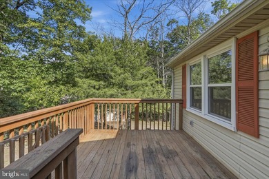 This property has the feel buyers are hoping to find when they - photo 40