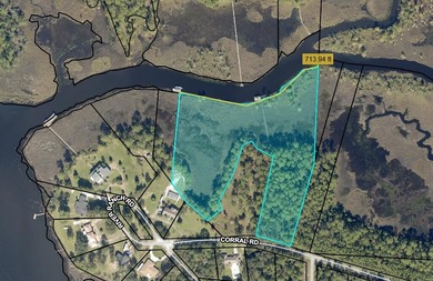 Blackwater River Acreage For Sale in Milton Florida
