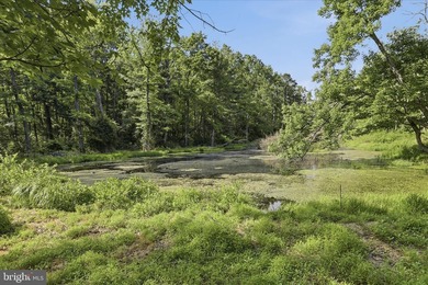 This property has the feel buyers are hoping to find when they - photo 41