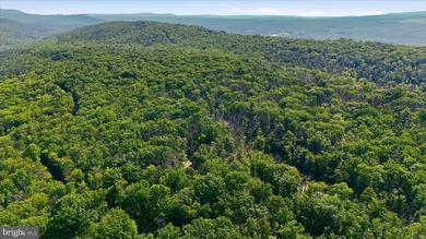 This property has the feel buyers are hoping to find when they - photo 45