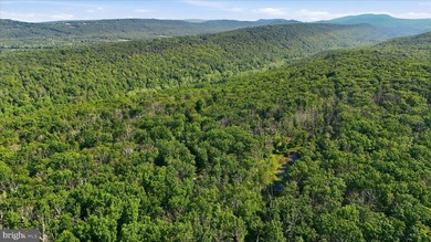 This property has the feel buyers are hoping to find when they - photo 46