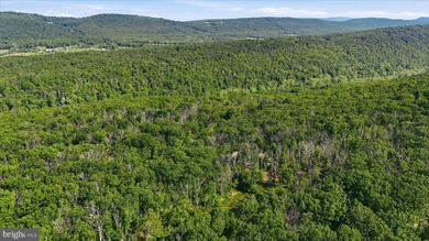 This property has the feel buyers are hoping to find when they - photo 47