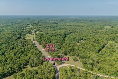 Excellent building lot consisting of 3.01 acres located on Ivy - photo 12