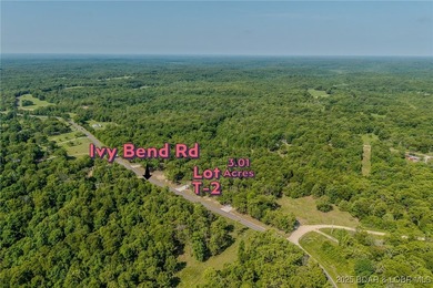 Excellent building lot consisting of 3.01 acres located on Ivy - photo 13