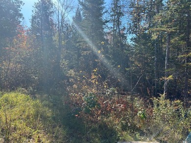 If you've been dreaming of a private Maine getaway surrounded by - photo 14