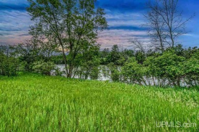 Menominee River - Dickinson County Acreage For Sale in Vulcan Michigan