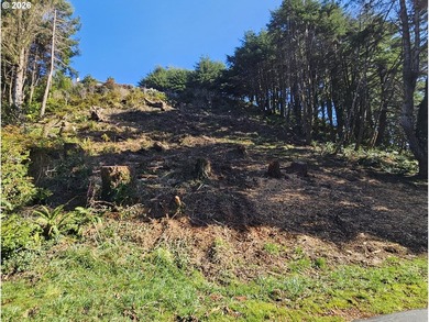 ATTENTION BUILDERS & INVESTORS: The sellers are open to - photo 4