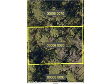 Lehigh Acres Area Lot For Sale in Lehigh Acres Florida