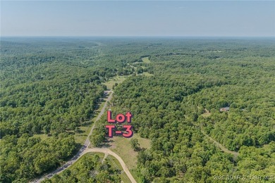 Excellent building lot consisting of 3.01 acres located on Ivy - photo 13