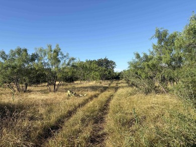 Discover an unparalleled legacy with this exceptional 168+ acre - photo 5