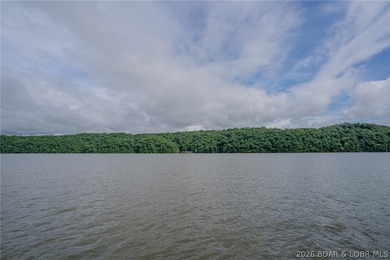 Rare opportunity to own a true Lake of the Ozarks waterfront - photo 16