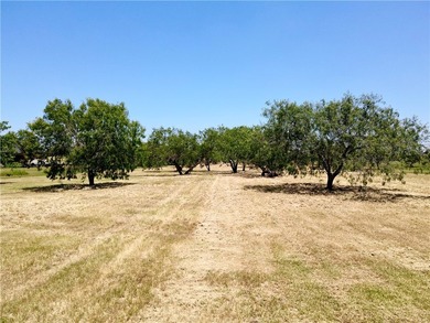 PRIME WATERFRONT lots on Lake Corpus Christi, totaling +/- 2.95 - photo 9