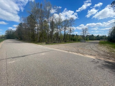 Multi Use lot with huge potential. Undeveloped lot and storage - photo 14