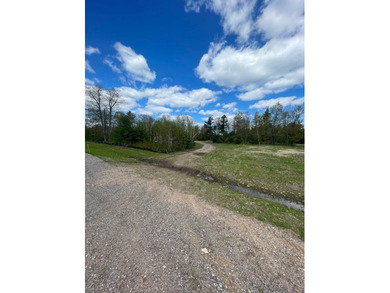 Multi Use lot with huge potential. Undeveloped lot and storage - photo 15