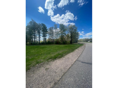Multi Use lot with huge potential. Undeveloped lot and storage - photo 16