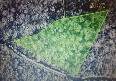 Toledo Bend Reservoir Acreage For Sale in Many Louisiana