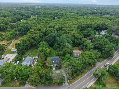Welcome to 3 Cozine Road South in Center Moriches! Completely - photo 41