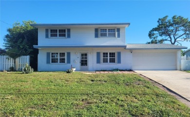 Lake Home For Sale in St. Petersburg, Florida
