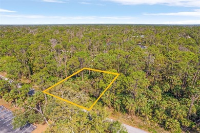 Port Charlotte Waterway Area Lot For Sale in Port Charlotte Florida