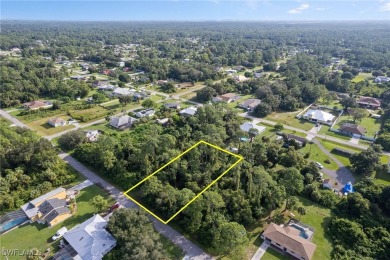Lehigh Acres Area Lot For Sale in Lehigh Acres Florida
