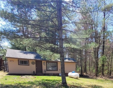 Lake Arbutus Home For Sale in Merrillan Wisconsin