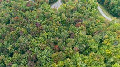 Discover this inviting 1-acre parcel in the desirable Oaks of - photo 3