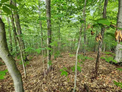 Discover this inviting 1-acre parcel in the desirable Oaks of - photo 5