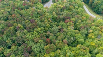 Discover this inviting 1-acre parcel in the desirable Oaks of - photo 6