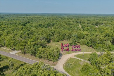 Excellent building lot consisting of 3.01 acres located on Ivy - photo 12