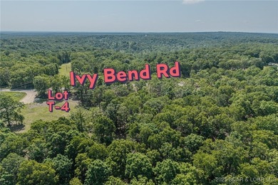 Excellent building lot consisting of 3.01 acres located on Ivy - photo 13