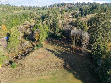 Beautiful 2.87-Acre Golf Course Lot in Ironwood Estates - - photo 13