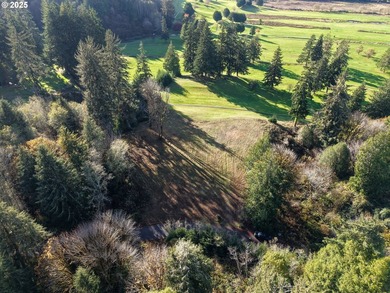 Beautiful 2.87-Acre Golf Course Lot in Ironwood Estates - - photo 20