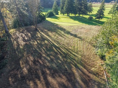 Beautiful 2.87-Acre Golf Course Lot in Ironwood Estates - - photo 21